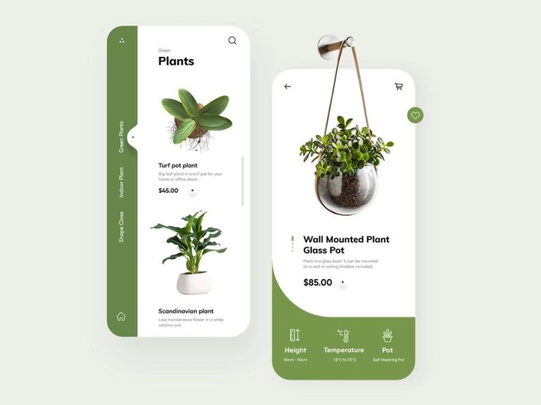 Plants: هماهنگی طبیعت و فضای زندگی شما